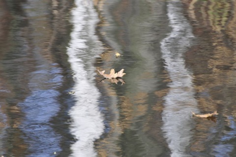 Kliknij na zdjęcie, żeby zobaczyć w pełnych wymiarach