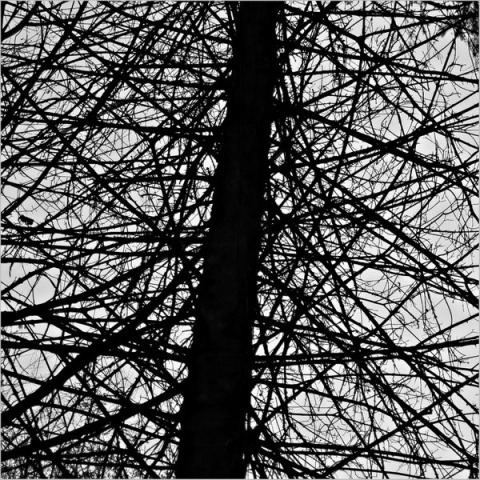 Kliknij na zdjęcie, żeby zobaczyć w pełnych wymiarach