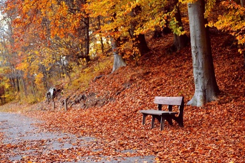 Kliknij na zdjęcie, żeby zobaczyć w pełnych wymiarach