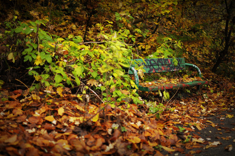 Kliknij na zdjęcie, żeby zobaczyć w pełnych wymiarach