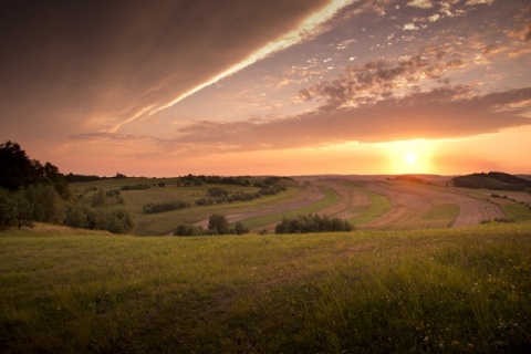 Kliknij na zdjęcie, żeby zobaczyć w pełnych wymiarach
