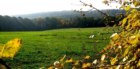 Kliknij na zdjęcie, żeby zobaczyć w pełnych wymiarach