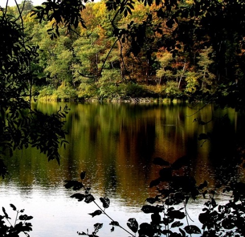 Kliknij na zdjęcie, żeby zobaczyć w pełnych wymiarach