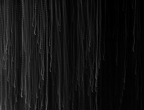 Kliknij na zdjęcie, żeby zobaczyć w pełnych wymiarach