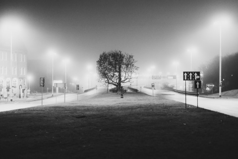 Kliknij na zdjęcie, żeby zobaczyć w pełnych wymiarach