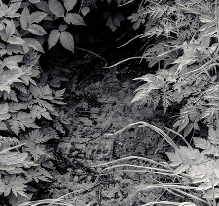 Kliknij na zdjęcie, żeby zobaczyć w pełnych wymiarach