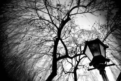 Kliknij na zdjęcie, żeby zobaczyć w pełnych wymiarach