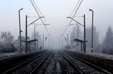 Kliknij na zdjęcie, żeby zobaczyć w pełnych wymiarach