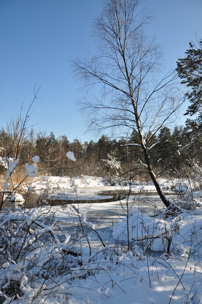 Kliknij na zdjęcie, żeby zobaczyć w pełnych wymiarach