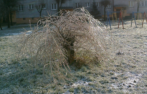 Kliknij na zdjęcie, żeby zobaczyć w pełnych wymiarach