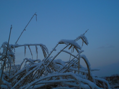 Kliknij na zdjęcie, żeby zobaczyć w pełnych wymiarach
