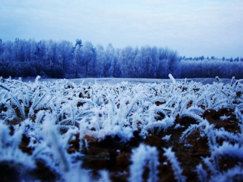 Kliknij na zdjęcie, żeby zobaczyć w pełnych wymiarach