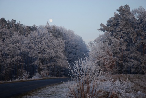 Kliknij na zdjęcie, żeby zobaczyć w pełnych wymiarach