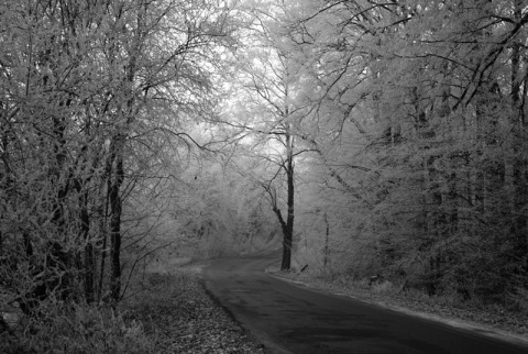Kliknij na zdjęcie, żeby zobaczyć w pełnych wymiarach