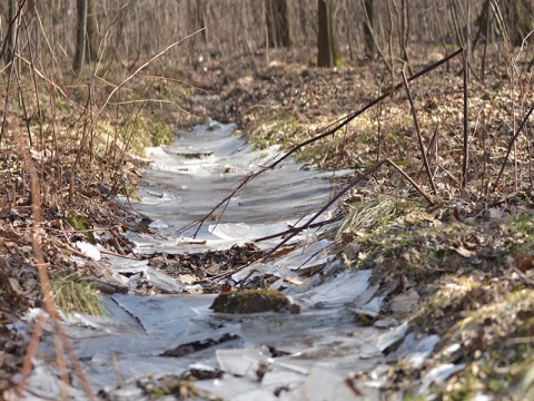 Kliknij na zdjęcie, żeby zobaczyć w pełnych wymiarach