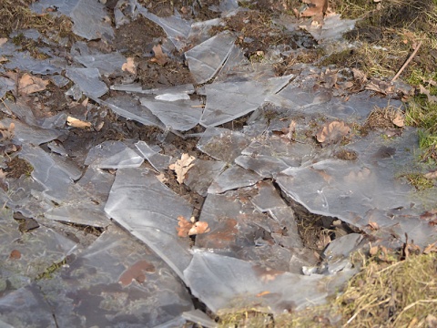 Kliknij na zdjęcie, żeby zobaczyć w pełnych wymiarach