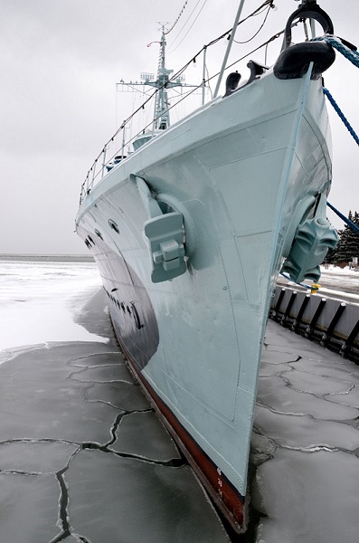 Kliknij na zdjęcie, żeby zobaczyć w pełnych wymiarach