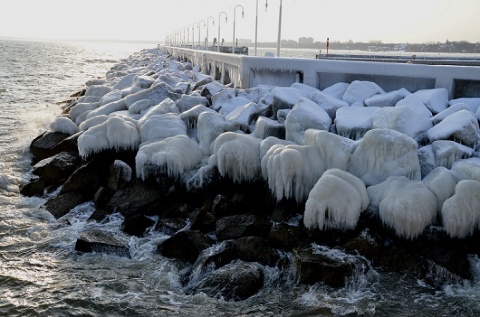 Kliknij na zdjęcie, żeby zobaczyć w pełnych wymiarach