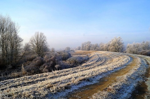 Kliknij na zdjęcie, żeby zobaczyć w pełnych wymiarach