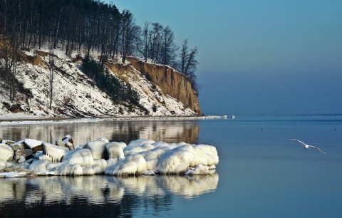 Kliknij na zdjęcie, żeby zobaczyć w pełnych wymiarach