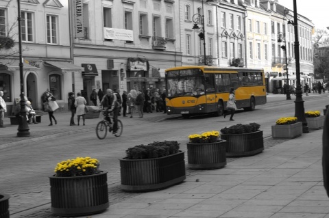 Kliknij na zdjęcie, żeby zobaczyć w pełnych wymiarach