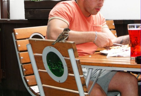 Kliknij na zdjęcie, żeby zobaczyć w pełnych wymiarach