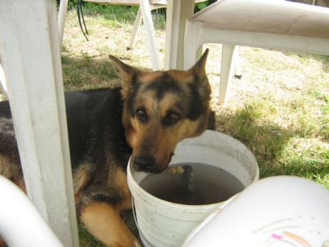 Kliknij na zdjęcie, żeby zobaczyć w pełnych wymiarach