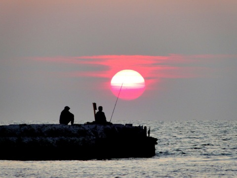 Kliknij na zdjęcie, żeby zobaczyć w pełnych wymiarach
