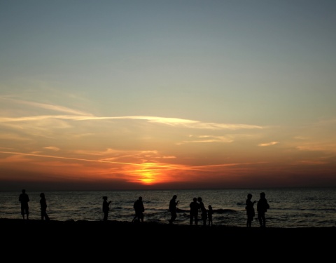 Kliknij na zdjęcie, żeby zobaczyć w pełnych wymiarach