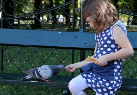 Kliknij na zdjęcie, żeby zobaczyć w pełnych wymiarach