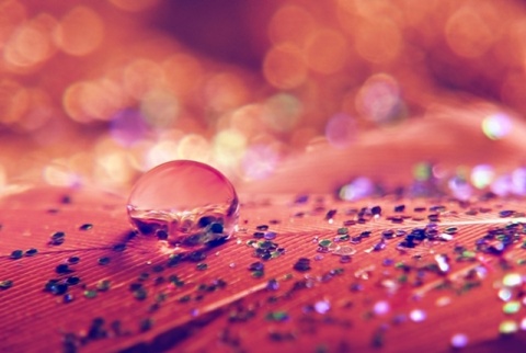 Kliknij na zdjęcie, żeby zobaczyć w pełnych wymiarach