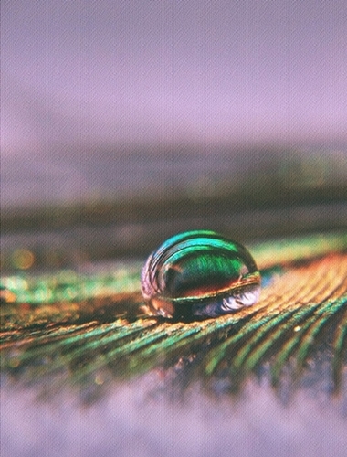 Kliknij na zdjęcie, żeby zobaczyć w pełnych wymiarach