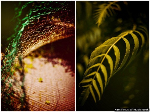 Kliknij na zdjęcie, żeby zobaczyć w pełnych wymiarach