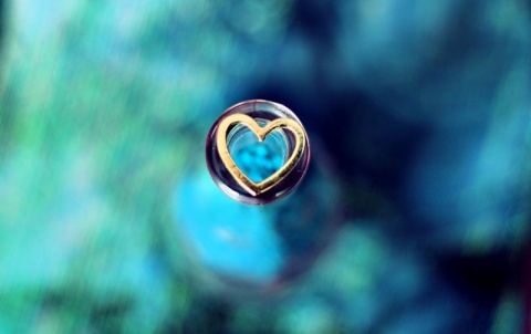 Kliknij na zdjęcie, żeby zobaczyć w pełnych wymiarach