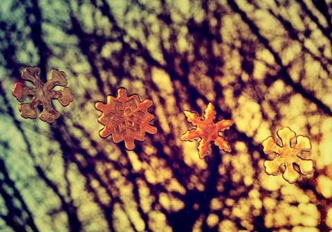 Kliknij na zdjęcie, żeby zobaczyć w pełnych wymiarach