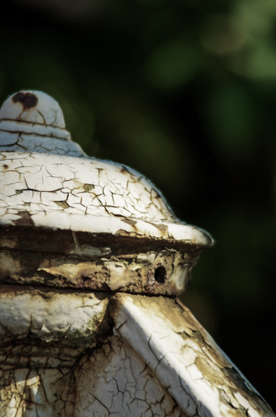 Kliknij na zdjęcie, żeby zobaczyć w pełnych wymiarach