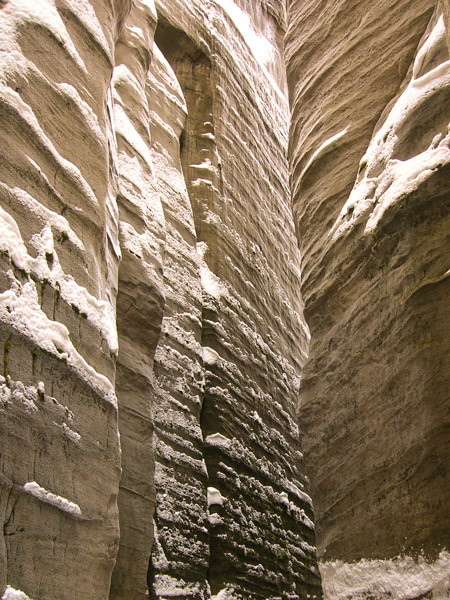 Kliknij na zdjęcie, żeby zobaczyć w pełnych wymiarach