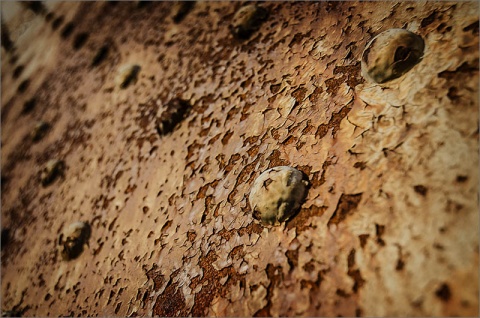 Kliknij na zdjęcie, żeby zobaczyć w pełnych wymiarach