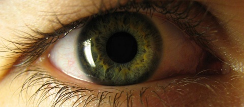 Kliknij na zdjęcie, żeby zobaczyć w pełnych wymiarach