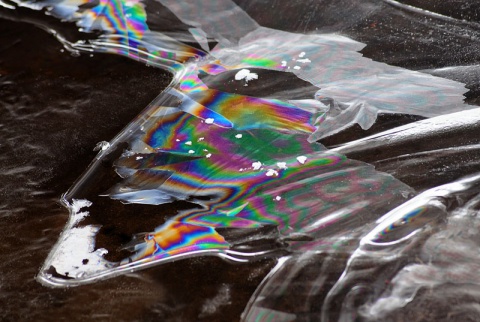 Kliknij na zdjęcie, żeby zobaczyć w pełnych wymiarach