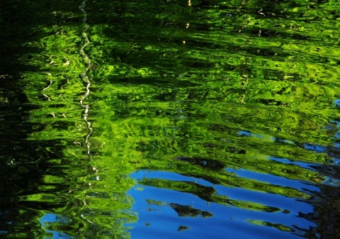 Kliknij na zdjęcie, żeby zobaczyć w pełnych wymiarach