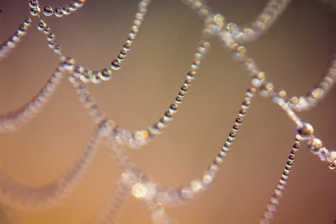 Kliknij na zdjęcie, żeby zobaczyć w pełnych wymiarach