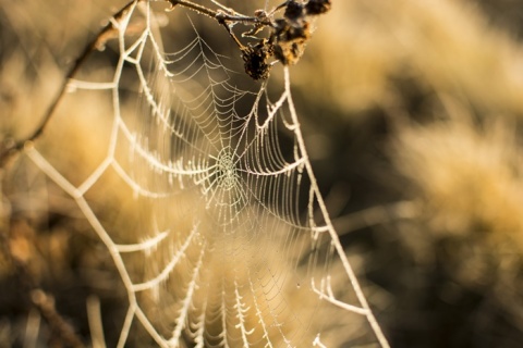 Kliknij na zdjęcie, żeby zobaczyć w pełnych wymiarach