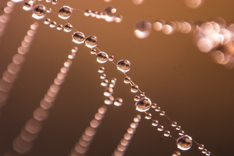 Kliknij na zdjęcie, żeby zobaczyć w pełnych wymiarach