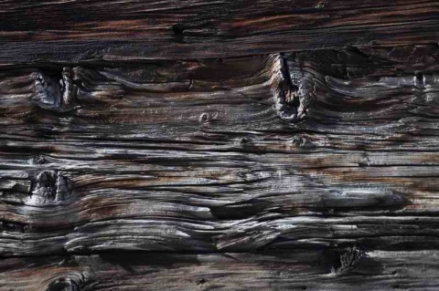 Kliknij na zdjęcie, żeby zobaczyć w pełnych wymiarach