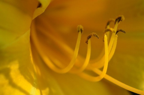 Kliknij na zdjęcie, żeby zobaczyć w pełnych wymiarach