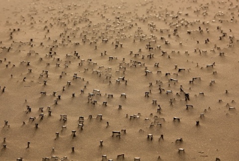 Kliknij na zdjęcie, żeby zobaczyć w pełnych wymiarach