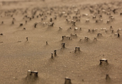Kliknij na zdjęcie, żeby zobaczyć w pełnych wymiarach