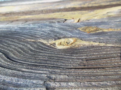 Kliknij na zdjęcie, żeby zobaczyć w pełnych wymiarach