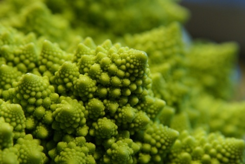 Kliknij na zdjęcie, żeby zobaczyć w pełnych wymiarach